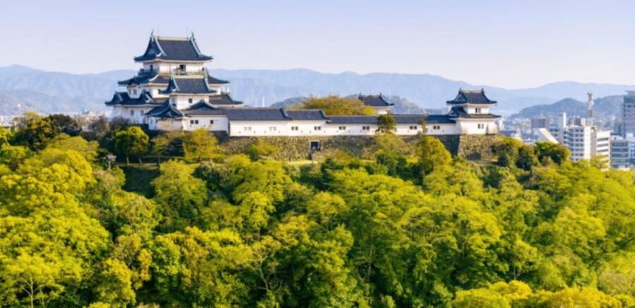 Kyoto/Osaka: Mount Koya and Wakayama Private Day Trip
