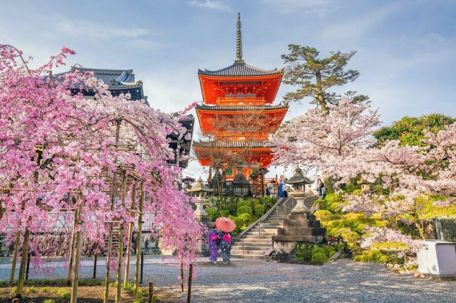 Kyoto: Private Customizable Guided Tour With Luxury Vehicle - Tour Overview