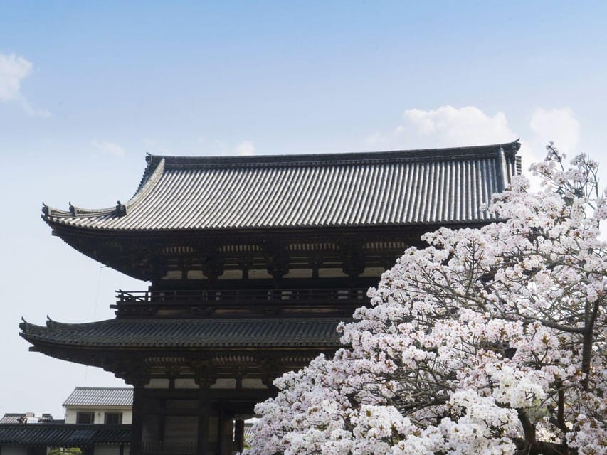 Kyotos Cherry Blossom Splendor: A 3-Hour Sakura Tour