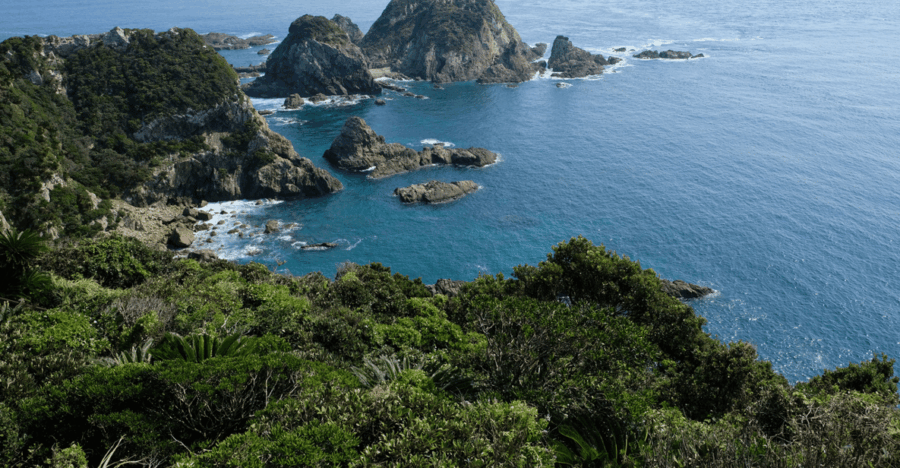 Kyushu 9-Hour Chartered Day Trip｜ Kagoshima