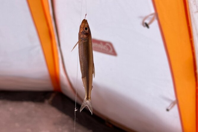 Lake Nukabira Smelt Fishing Private Tour
