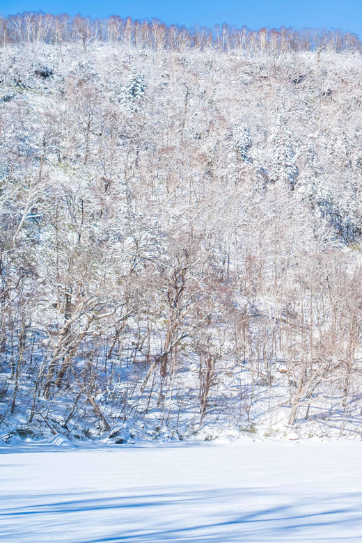 Lake Tachibana: Snowshoe to a Frozen Lake!