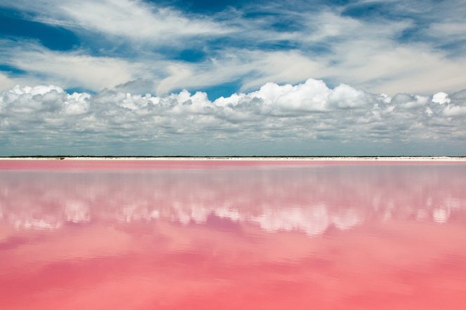 Las Coloradas Tour From Cancun and Playa Del Carmen