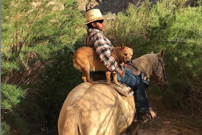 Las Vegas Horseback Ride With Meal - Overview of the Horseback Ride Experience