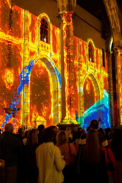 Lisbon: Lisbon Under the Stars at Carmo Convent Show Entry - Ticket and Pricing Information