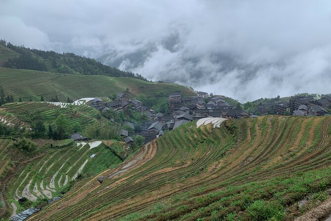 Longji Rice Terrace — Day Trip