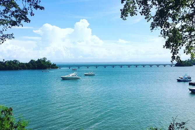 Los Haitises Park & Cayo Levantado: Samaná Unforgettable Journey