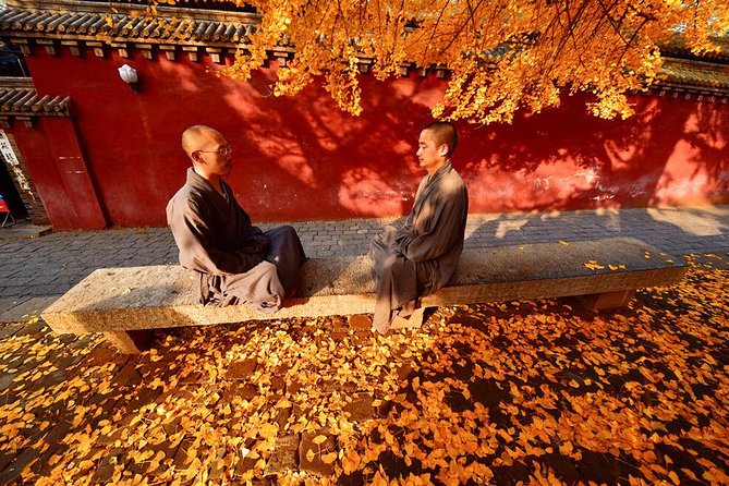 Luoyang Private Day Tour of Shaolin Temple and Longmen Grottoes - Tour Overview