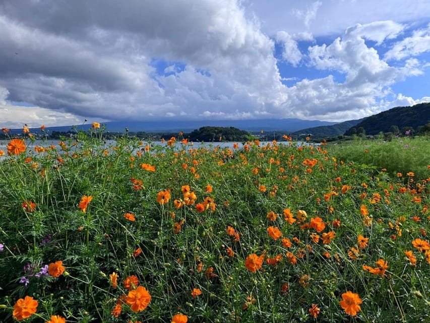 Luxury Mt. Fuji Private Tour: Elite Experience - Tour Overview