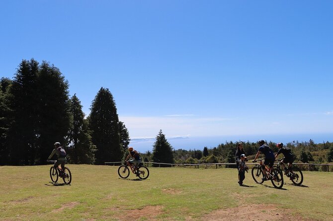 Madeira Island Guided Mountain Biking Adventure - Overview of the Adventure