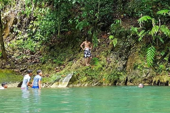 Magical Mermaid Pool and Caroni Swamp