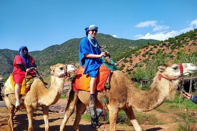 Majestic Atlas Mountains & Berber Villages Day Trip From Marrakech