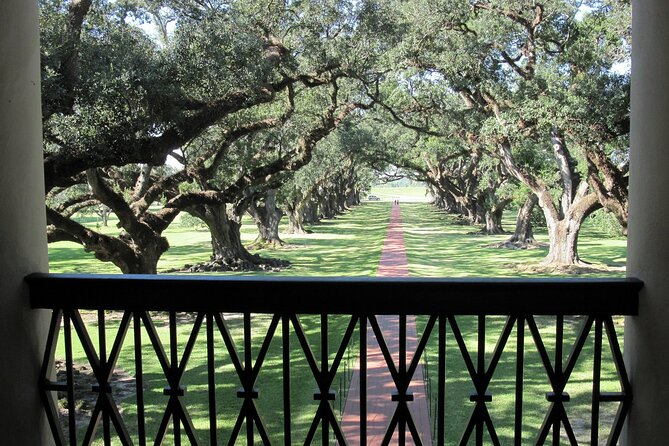 Majestic Oak Alley Plantation Tour