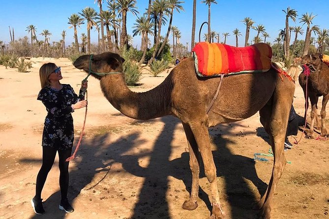 Marrakech Luxery Sunset Camel Ride