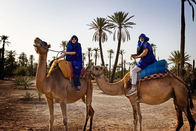 Marrakech Oasis Escape: Camel Ride & Quad Bike Adventure - Camel Riding Adventure