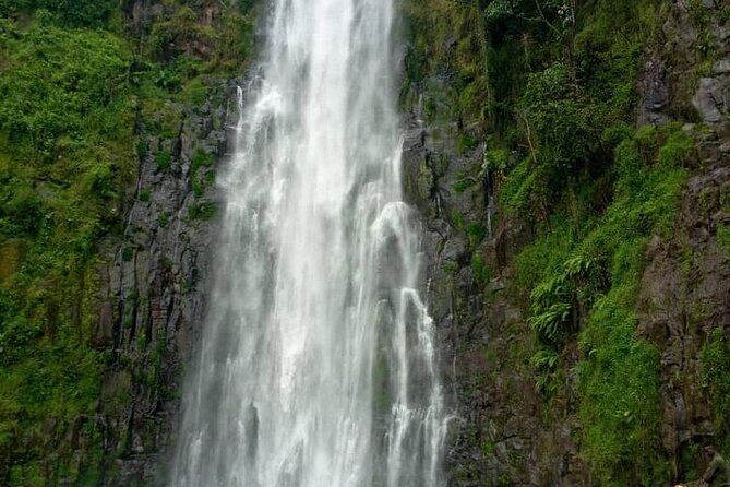 Materuni Waterfalls, Kikuletwa Chemka Hot Springs, Coffee Tour