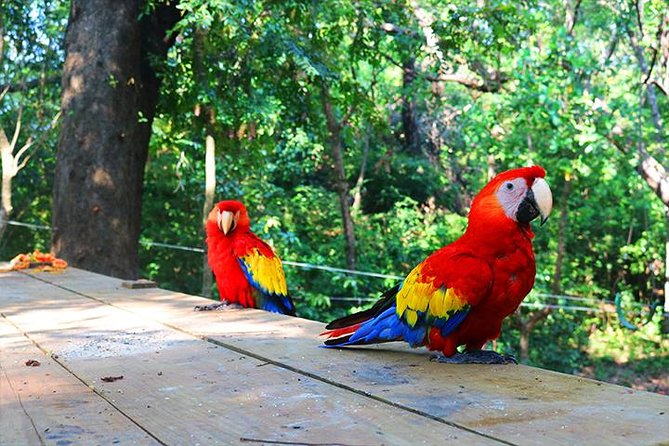 Mayan Eden Eco Park, Chocolate Factory & Transfer - Highlights of Mayan Eden Eco-Park