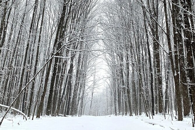 Maybury State Park Guided Hiking and Trail Running Trips
