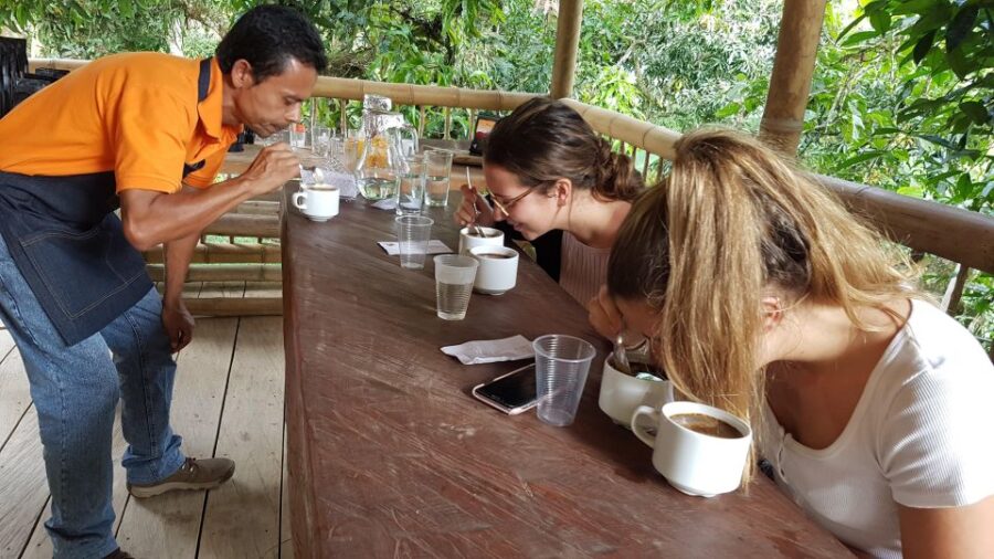 Medellin to Fredonia for a Coffee Day Tour