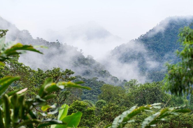 Mindo Cloud Forest PRIVATE Day Trip
