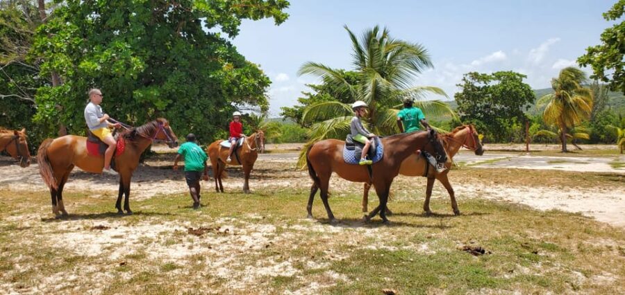 Montego Bay: Green Grotto Cave+Horseback Riding+River Tubing