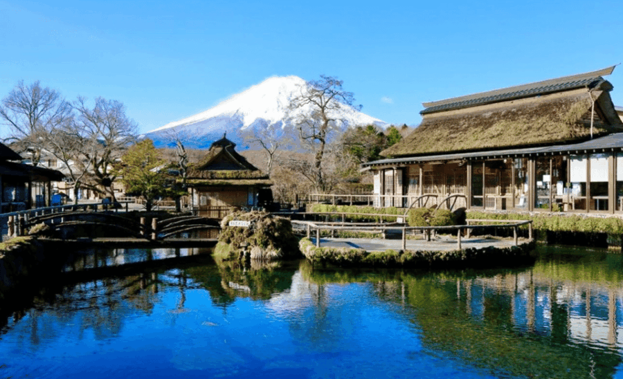 Mount Fuji and Hakone Private Tour With Pick-Up and Drop off