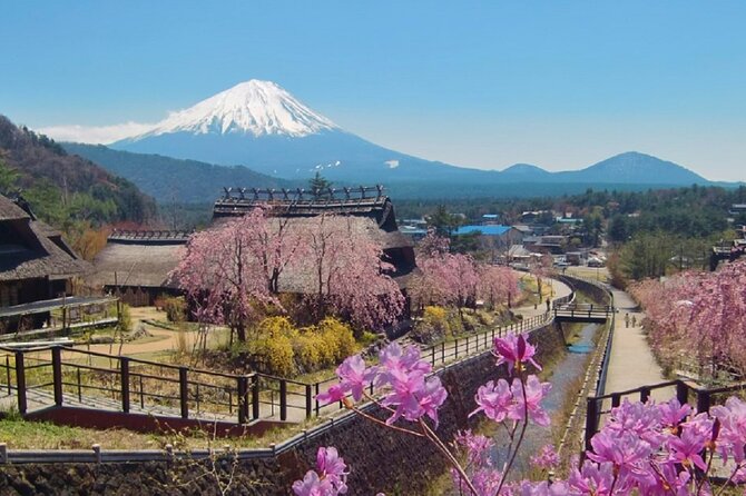 Mount Fuji Day Tour on Scenic Lakes and Oshino Hakkai Adventure