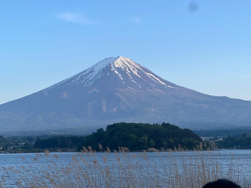 Mount Fuji Private Tour With English Speaking Driver/Guide - Tour Overview and Pricing
