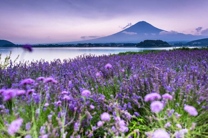 Mountain Fuji Tour In Japan With Professional English Tour Guide