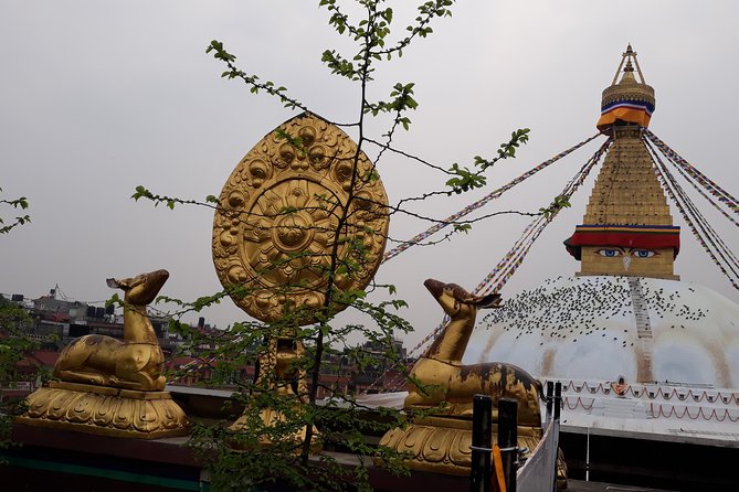 Mountains, Wildlife and Culture Tour