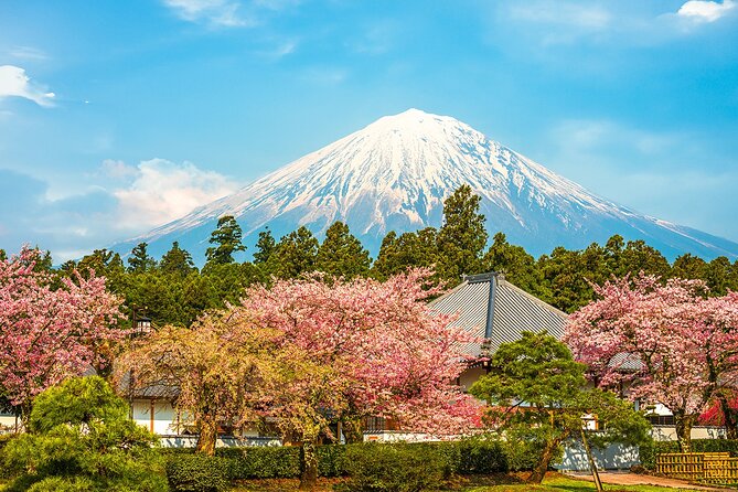 Mt Fuji 5th Station/Arakurayama Sengen Park & Oshino Hakkai Tour