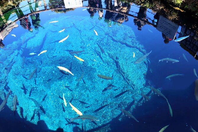Mt Fuji Gotemba Outlet and Hot Springs Tour From Tokyo