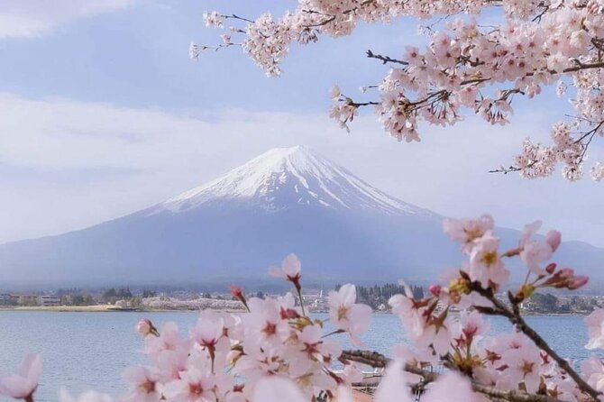 Mt Fuji Private Tour With English Speaking Driver