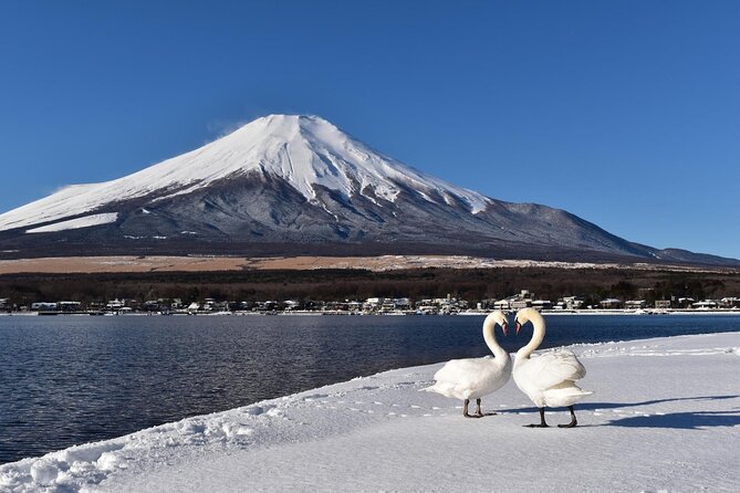 Mt. Fuji Tours to Lake Kawaguchi and Yamanaka Onse English Guide