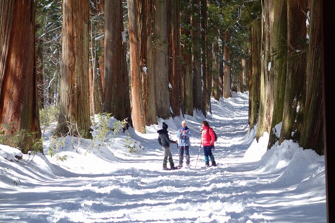 Nagano Winter Special Tour Snow Monkey and Snowshoe Hiking!!