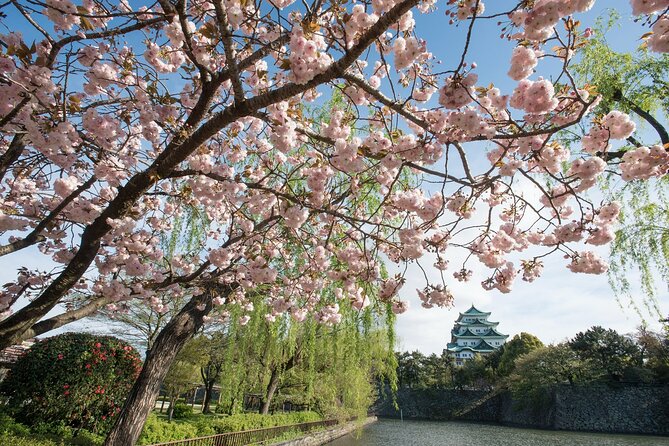 Nagoya Castle Cherry Blossom Festival and Tokugawaen Walking Tour - Overview of the Tour