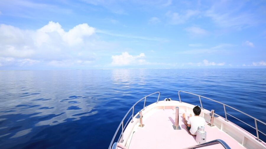 Naha, Okinawa: Kerama Islands Half-Day Whale Watching Tour