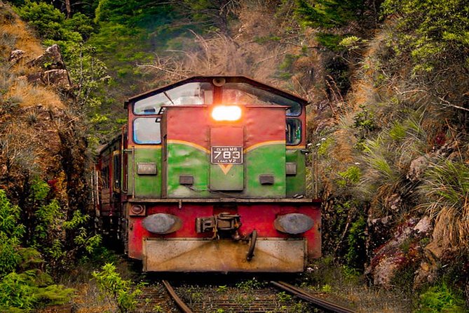 Nanu Oya to Kandy Train Ride on (Train No: 1016 Udarata Menike)