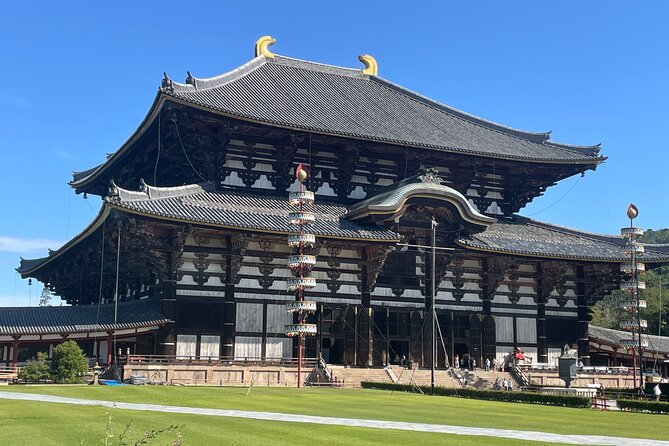 Nara Adventure: Todaiji, Kasuga Shrine, Nara Park, Hozanji Temple