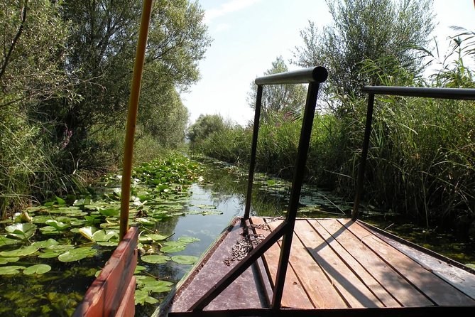 National Bird Reserve Hutovo Blato Photo Safari - Exploring the Bird Haven
