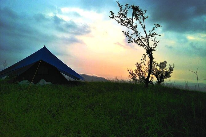 Nature Trekking Near Dharamshala With Lunch