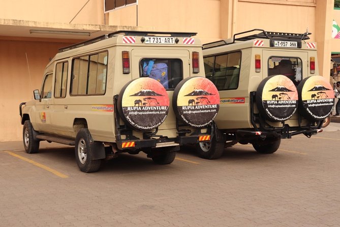 Ngorongoro Crater Day Trip