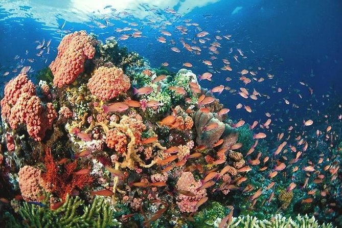 Nha Trang Bay Private Boat Tour - Tour Overview