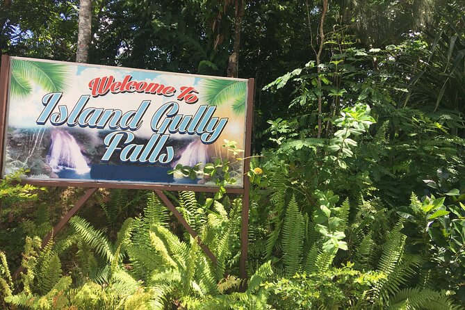 Ocho Rios/Private Tour to Famous Blue Hole and Local Farm in the Countryside - About the Tour