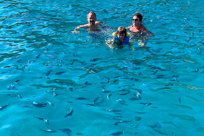 Of Sagone/Cargèse Cruise Walk Swimming and Leisure - Activity Overview