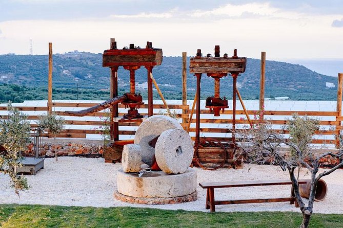 Olive Mill Festival