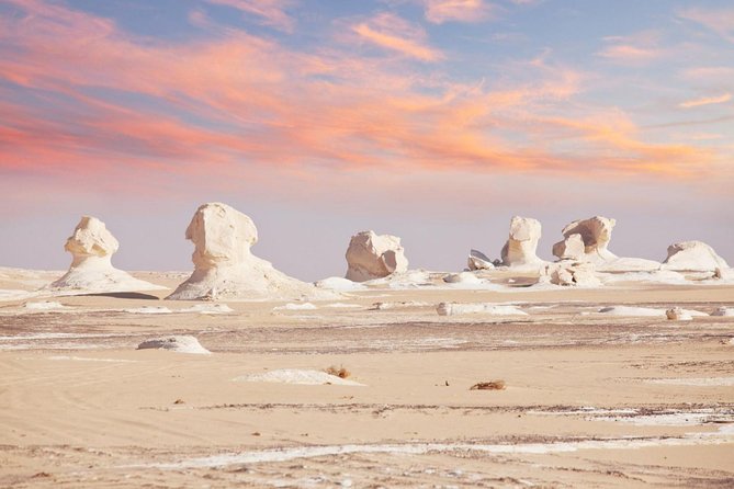 One Night Camping In White & Black Deserts Baharaya Oasis From Cairo