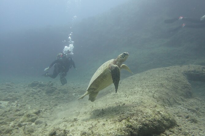 Open Water Scuba Certification