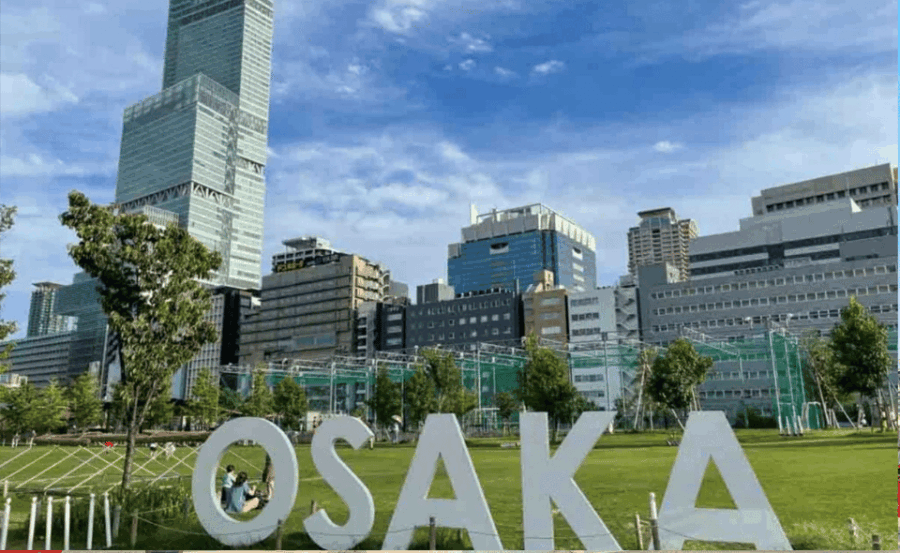 Osaka: 1-Day Private Customizable Tour With English Driver