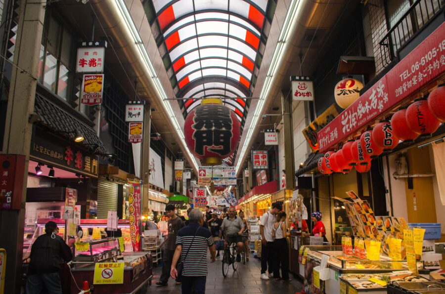 Osaka Cruise Excursion: Private/Custom/City Meetup Possible - Tour Overview and Pricing